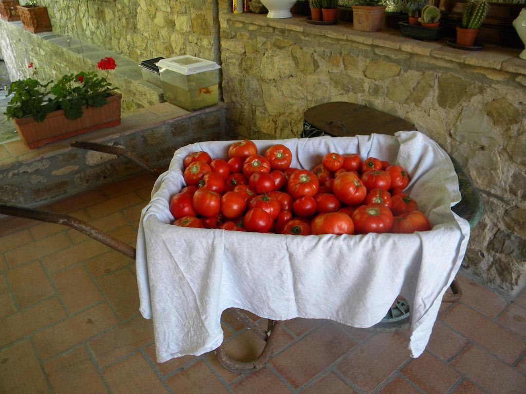 Giunasco Bagnone エクステリア 写真